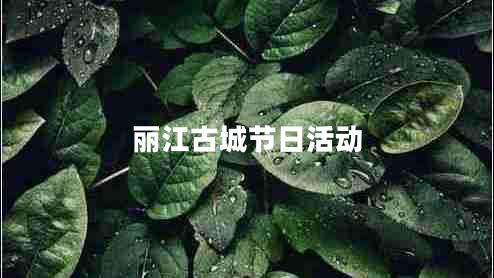 麗江古城節(jié)日活動 麗江古城節(jié)日活動