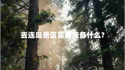 去連島景區(qū)需要準(zhǔn)備什么? 去連島景區(qū)需要準(zhǔn)備什么?