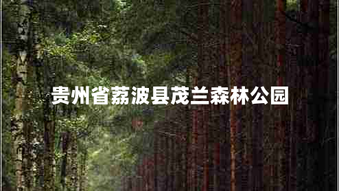 貴州省荔波縣茂蘭森林公園 貴州省荔波縣茂蘭森林公園