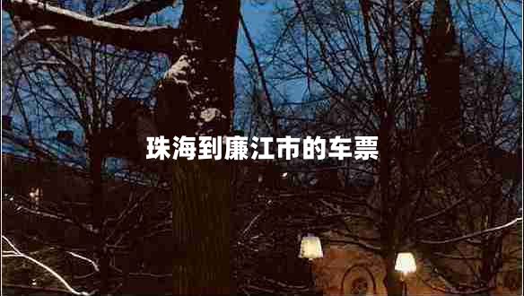 珠海到廉江市的車票 珠海到廉江市的車票