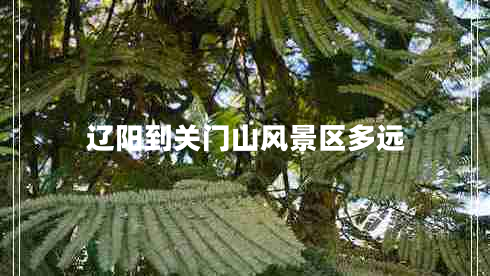遼陽(yáng)到關(guān)門(mén)山風(fēng)景區(qū)多遠(yuǎn)