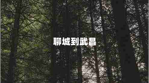 聊城到武昌 聊城到武昌