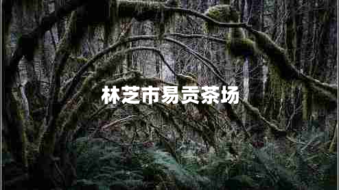 林芝市易貢茶場 林芝市易貢茶場