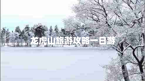 龍虎山旅游攻略一日游 龍虎山旅游攻略一日游