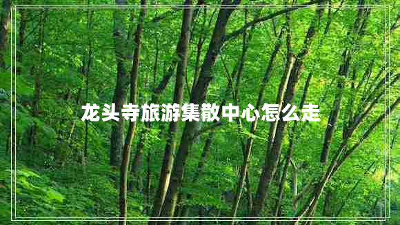 龍頭寺旅游集散中心怎么走 龍頭寺旅游集散中心怎么走