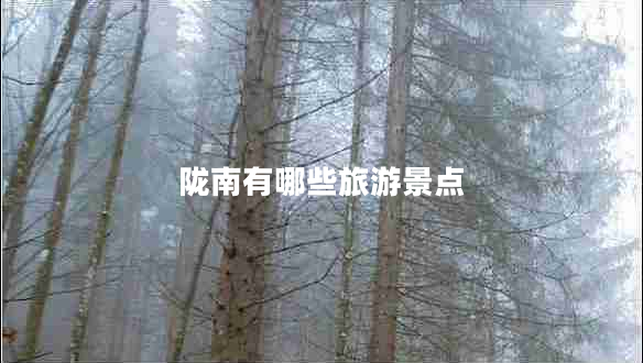 隴南有哪些旅游景點(diǎn) 隴南有哪些旅游景點(diǎn)