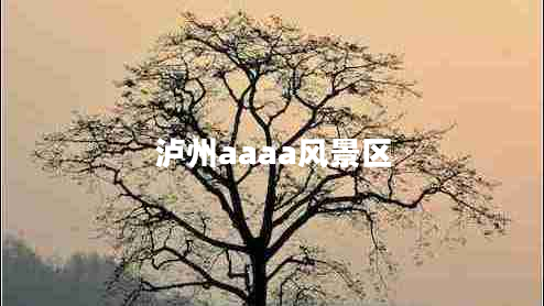 瀘州aaaa風景區(qū) 瀘州aaaa風景區(qū)