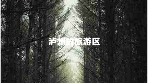 瀘州的旅游區(qū) 瀘州的旅游區(qū)