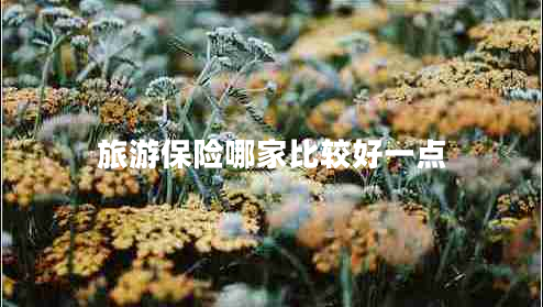 旅游保險哪家比較好一點