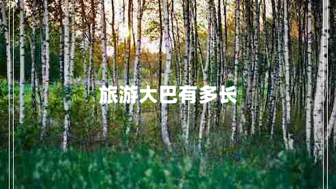 旅游大巴有多長(zhǎng) 旅游大巴有多長(zhǎng)