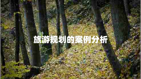 旅游規(guī)劃的案例分析 旅游規(guī)劃的案例分析