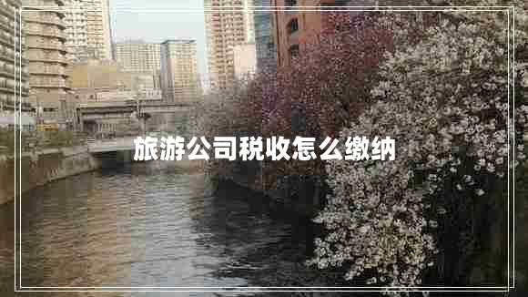 旅游公司稅收怎么繳納 旅游公司稅收怎么繳納