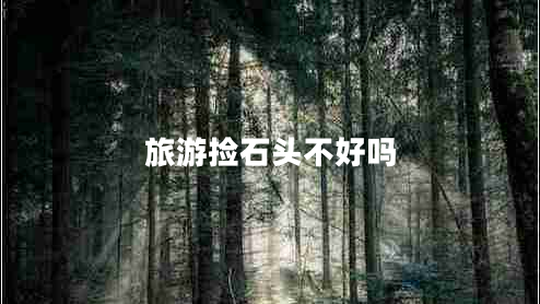 旅游撿石頭不好嗎
