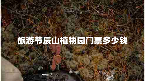 旅游節(jié)辰山植物園門票多少錢 旅游節(jié)辰山植物園門票多少錢
