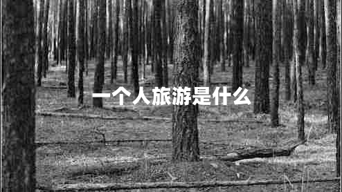 一個(gè)人旅游是什么 一個(gè)人旅游是什么