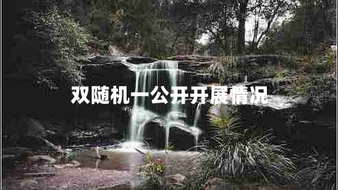 雙隨機(jī)一公開開展情況 雙隨機(jī)一公開開展情況