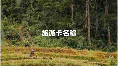 旅游卡名稱 旅游卡名稱