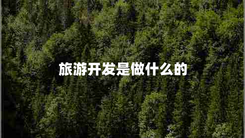 旅游開(kāi)發(fā)是做什么的