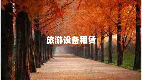 旅游設(shè)備租賃