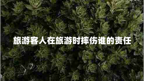 旅游客人在旅游時(shí)摔傷誰的責(zé)任