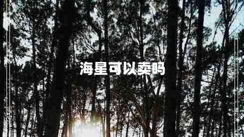 海星可以賣嗎 海星可以賣嗎