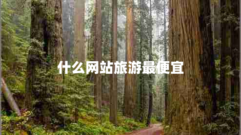 什么網(wǎng)站旅游最便宜