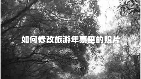 如何修改旅游年票里的照片 如何修改旅游年票里的照片
