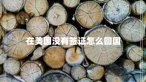 在美國(guó)沒有簽證怎么回國(guó) 在美國(guó)沒有簽證怎么回國(guó)