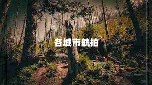 各城市航拍 各城市航拍