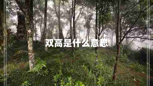 雙高是什么意思 雙高是什么意思