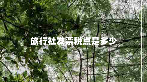 旅行社發(fā)票稅點(diǎn)是多少
