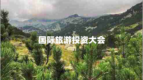 國際旅游投資大會(huì)