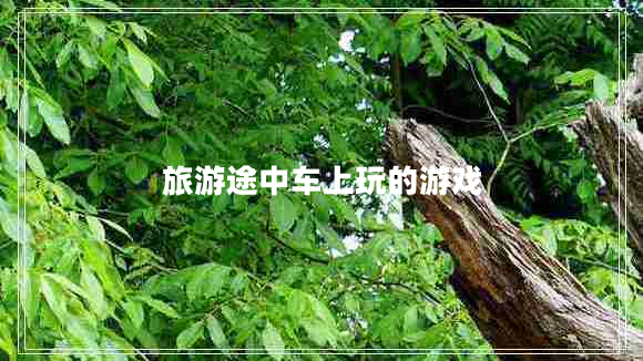 旅游途中車(chē)上玩的游戲 旅游途中車(chē)上玩的游戲