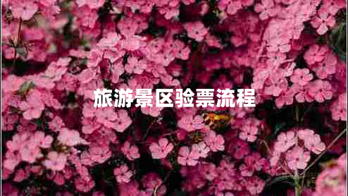 旅游景區(qū)驗(yàn)票流程 旅游景區(qū)驗(yàn)票流程