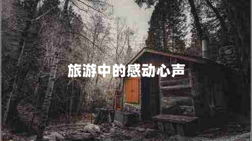 旅游中的感動心聲 旅游中的感動心聲