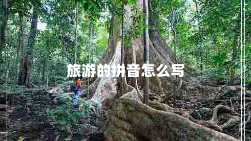 旅游的拼音怎么寫 旅游的拼音怎么寫