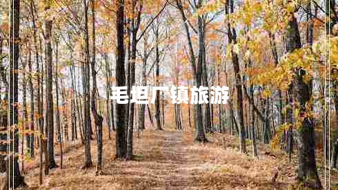 毛坦廠鎮(zhèn)旅游 毛坦廠鎮(zhèn)旅游
