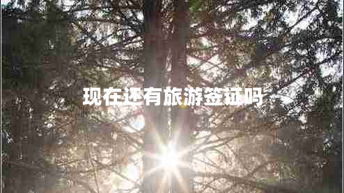 現(xiàn)在還有旅游簽證嗎 現(xiàn)在還有旅游簽證嗎