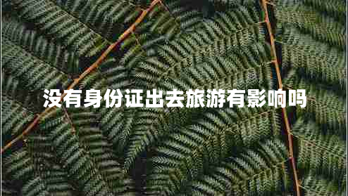 沒(méi)有身份證出去旅游有影響嗎 沒(méi)有身份證出去旅游有影響嗎