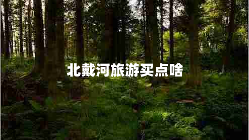 北戴河旅游買點啥