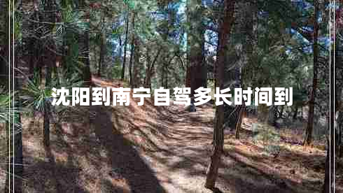 沈陽到南寧自駕多長時間到 沈陽到南寧自駕多長時間到