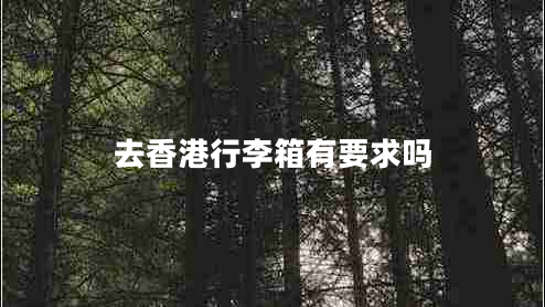 去香港行李箱有要求嗎 去香港行李箱有要求嗎