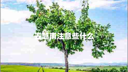 去越南注意些什么 去越南注意些什么