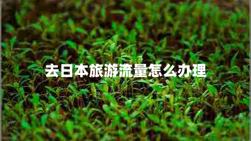去日本旅游流量怎么辦理 去日本旅游流量怎么辦理