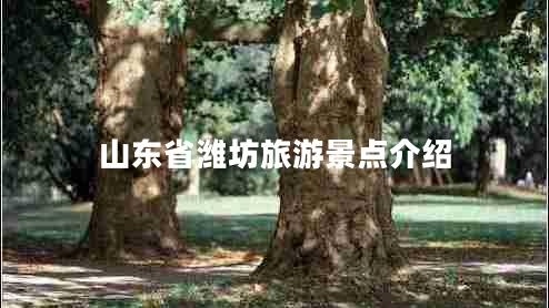 山東省濰坊旅游景點(diǎn)介紹 山東省濰坊旅游景點(diǎn)介紹