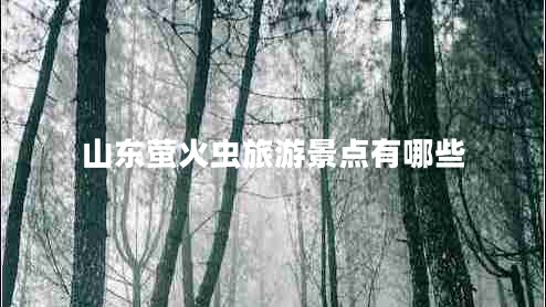 山東螢火蟲(chóng)旅游景點(diǎn)有哪些 山東螢火蟲(chóng)旅游景點(diǎn)有哪些