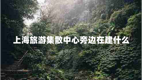 上海旅游集散中心旁邊在建什么 上海旅游集散中心旁邊在建什么