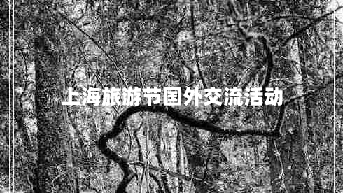 上海旅游節(jié)國外交流活動(dòng) 上海旅游節(jié)國外交流活動(dòng)