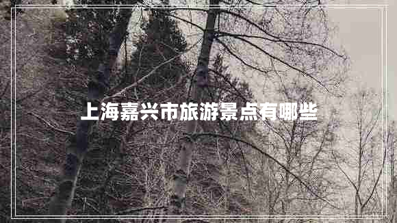 上海嘉興市旅游景點有哪些 上海嘉興市旅游景點有哪些
