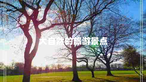 大自然的旅游景點